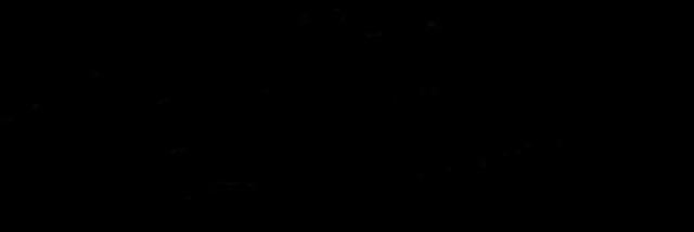 NMBandUpdates's profile banner image