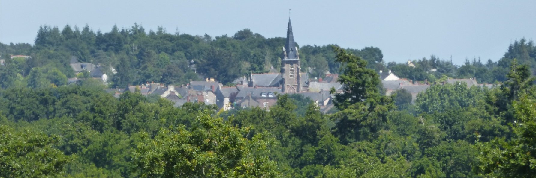 Ronan Coignard banner