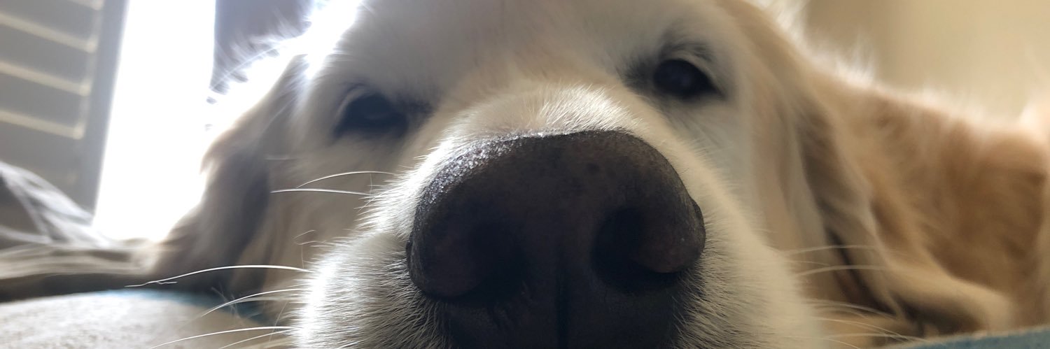 shivssss14's profile banner image