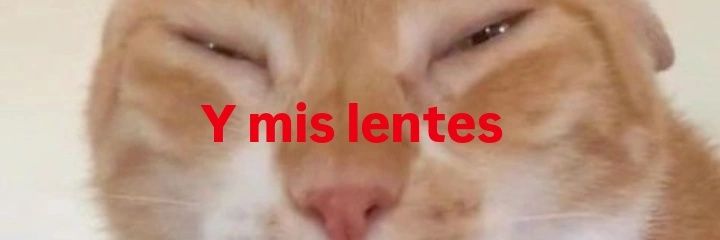 agossoto0's profile banner image