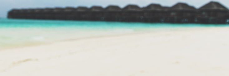 greyton1's profile banner image