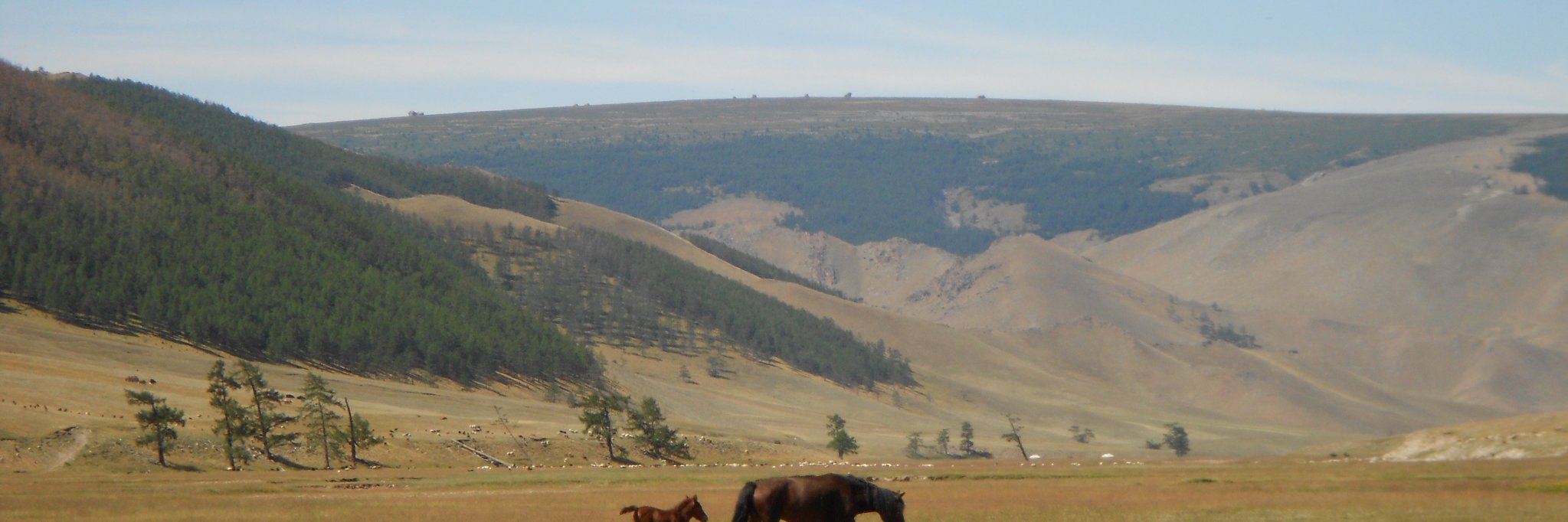 Мийгаа🌏 banner