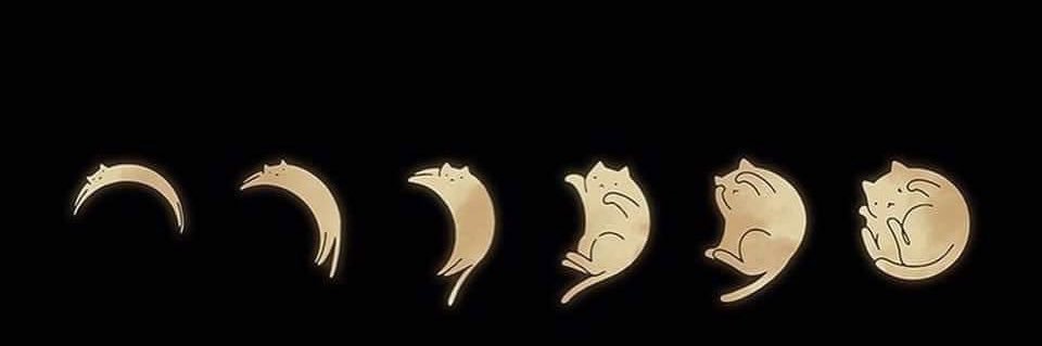 fatenBlle's profile banner image