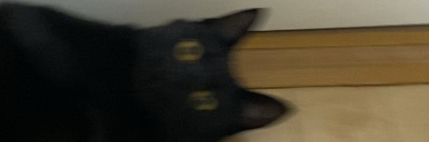 takumi🐈‍⬛ banner