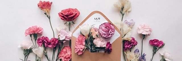 Ayiahosny's profile banner image
