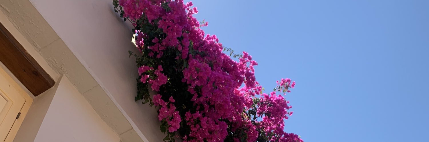 Em_FHow's profile banner image