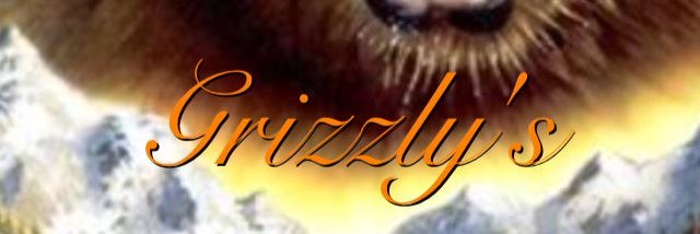 grizzlybeard3's profile banner image