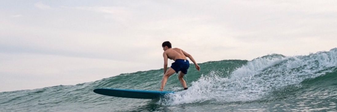 B 🦈🎸✧ banner