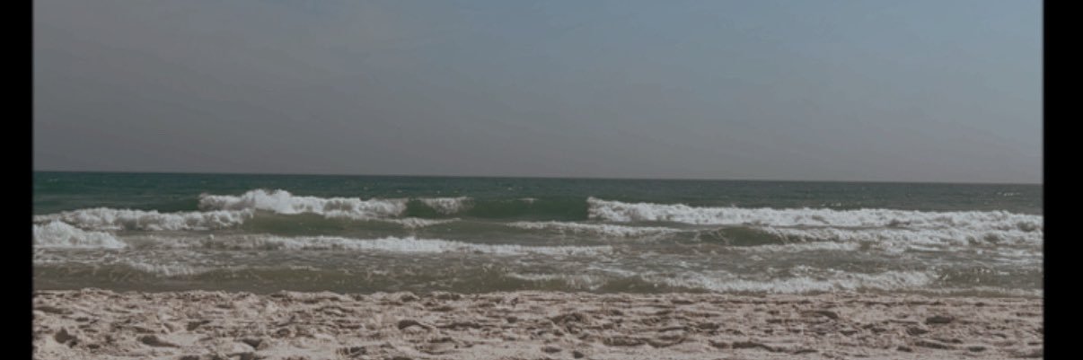 Rachel Phillips banner