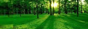 Komalpatil135's profile banner image