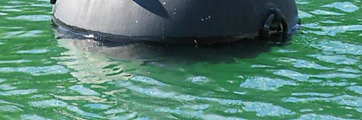 minaminaeva17's profile banner image