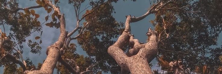 _Jaqq's profile banner image