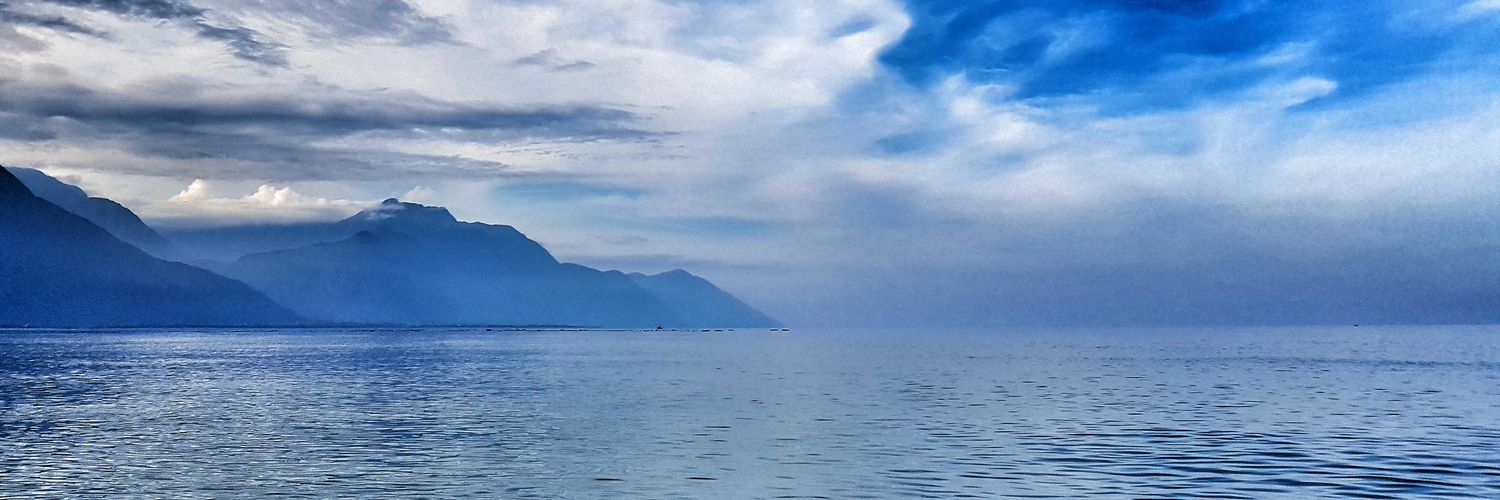 Anthony Mascle banner