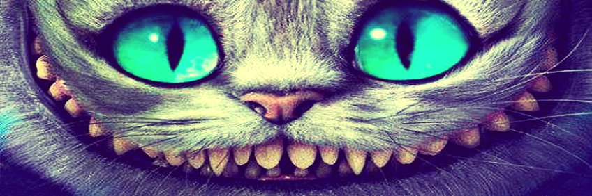 CabeloBarta's profile banner image