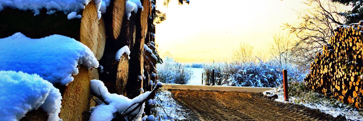 HansAlro's profile banner image