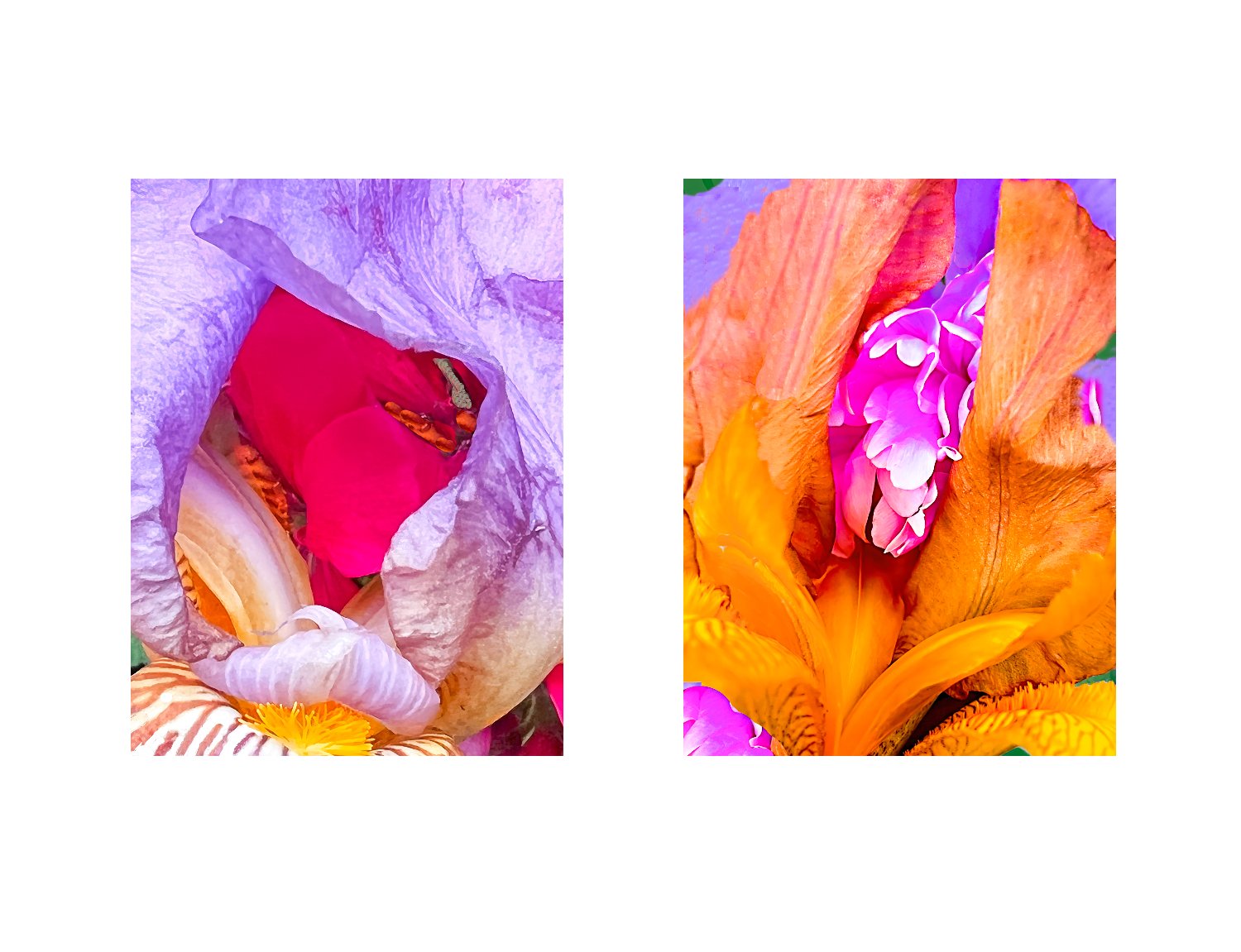 Gallery44 Members banner