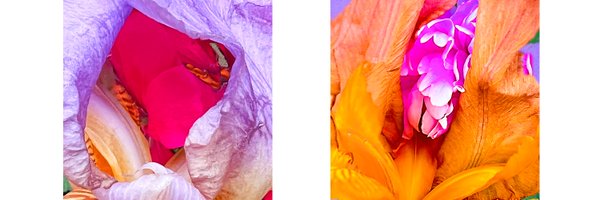 G44Members Profile Banner