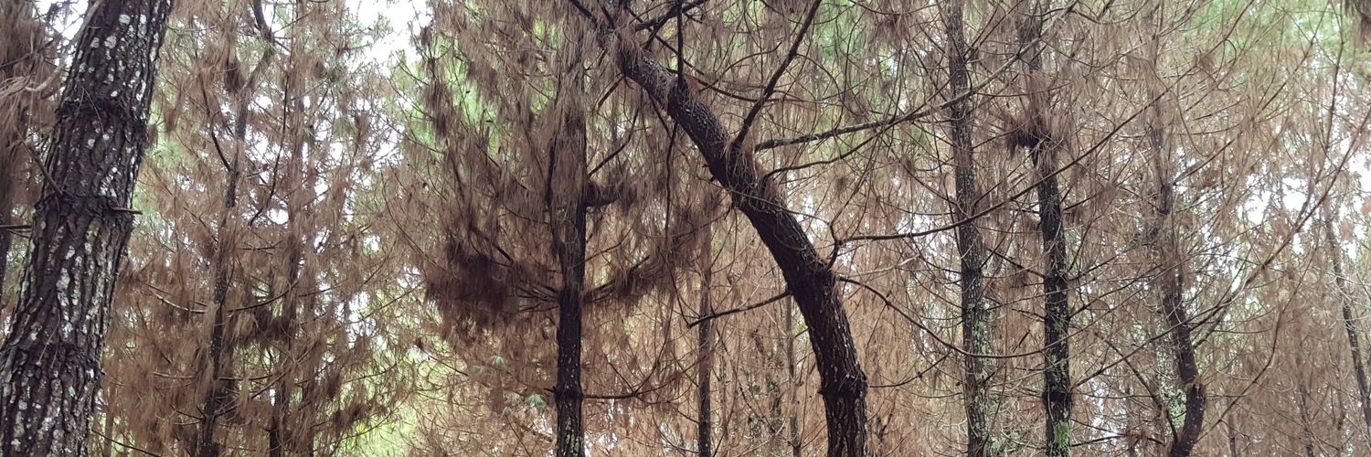 jinhe29_'s profile banner image
