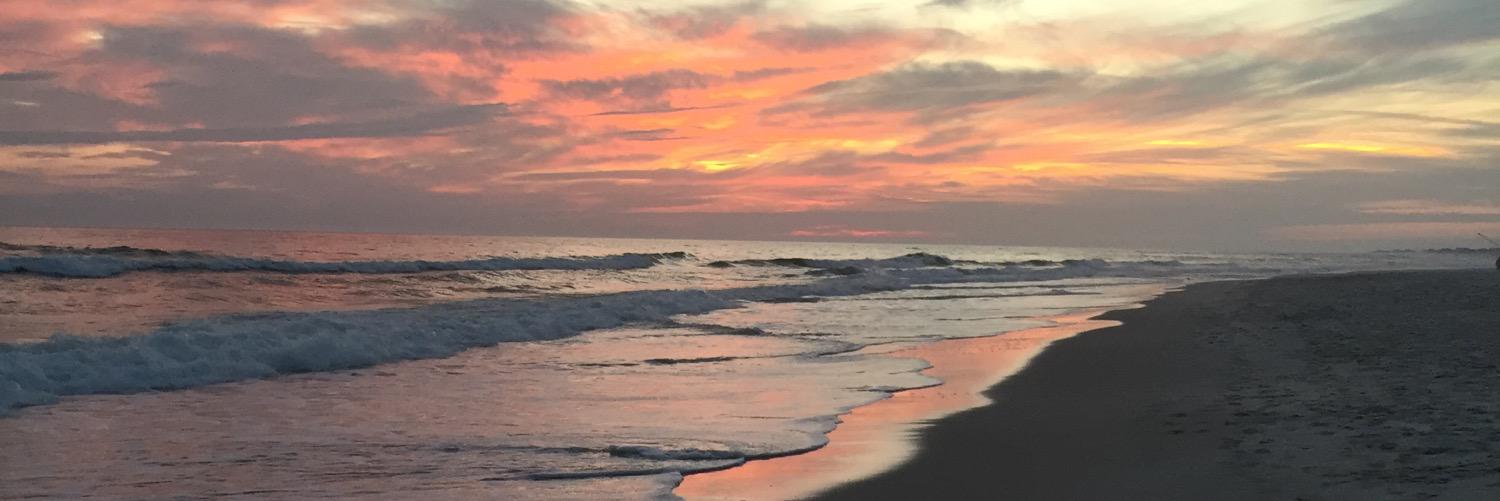 Hannah_Forshee's profile banner image