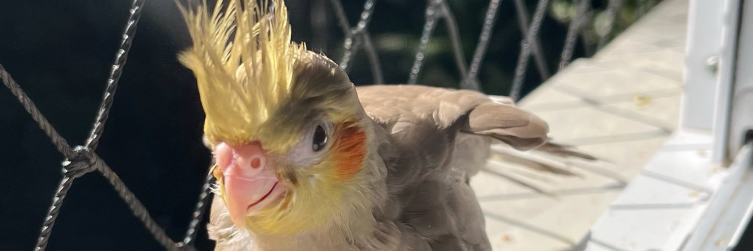 rafashields's profile banner image