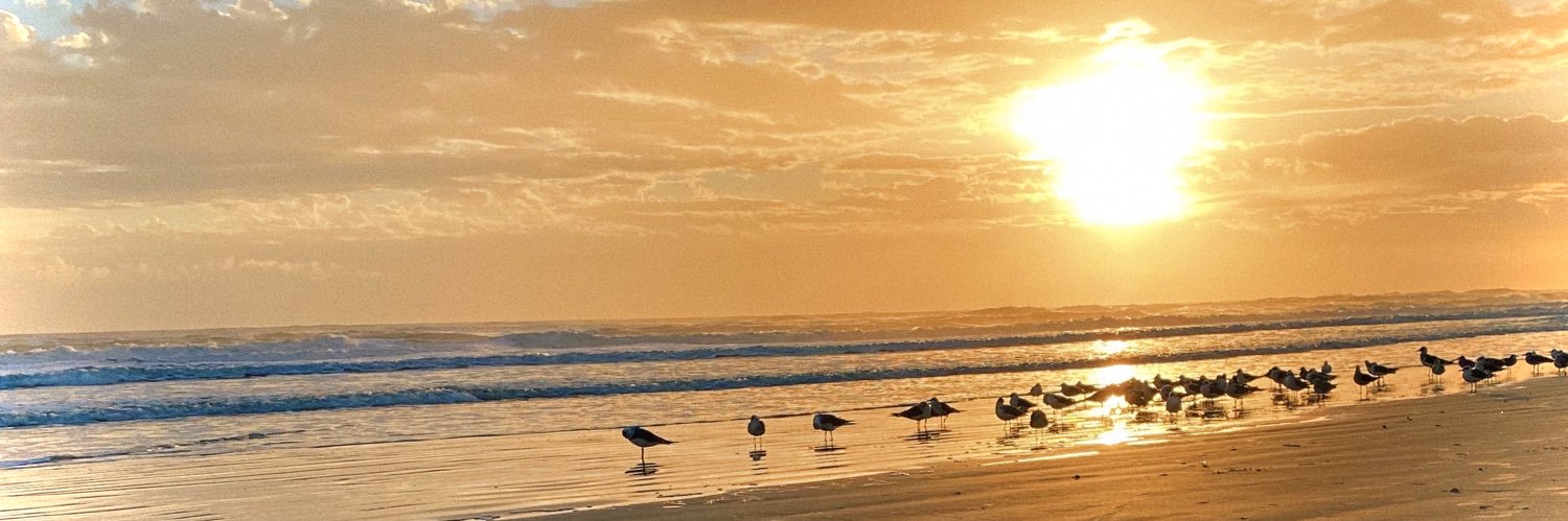 𝑮𝒆𝒎𝒊𝒏𝒊 𝑺𝒌𝒚𝒆 banner