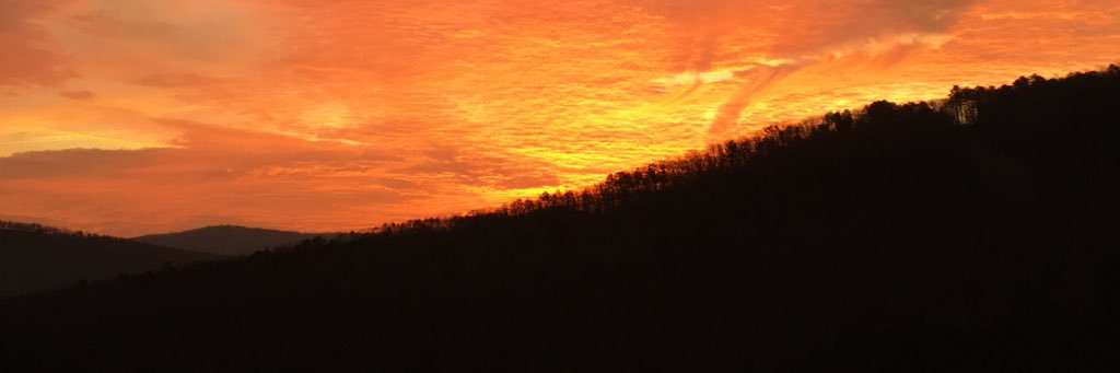 Alice Ackerman, MD, banner