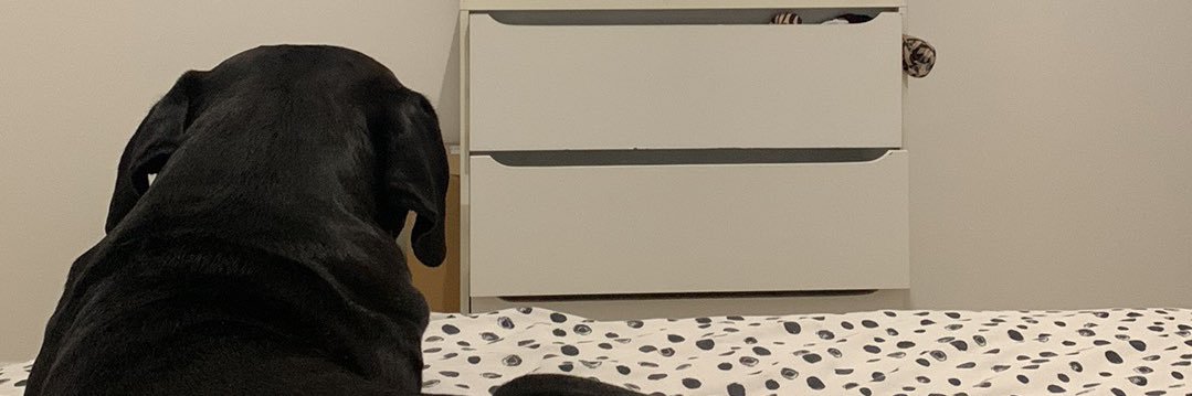 𝙽𝚎𝚜𝚜𝚊 banner