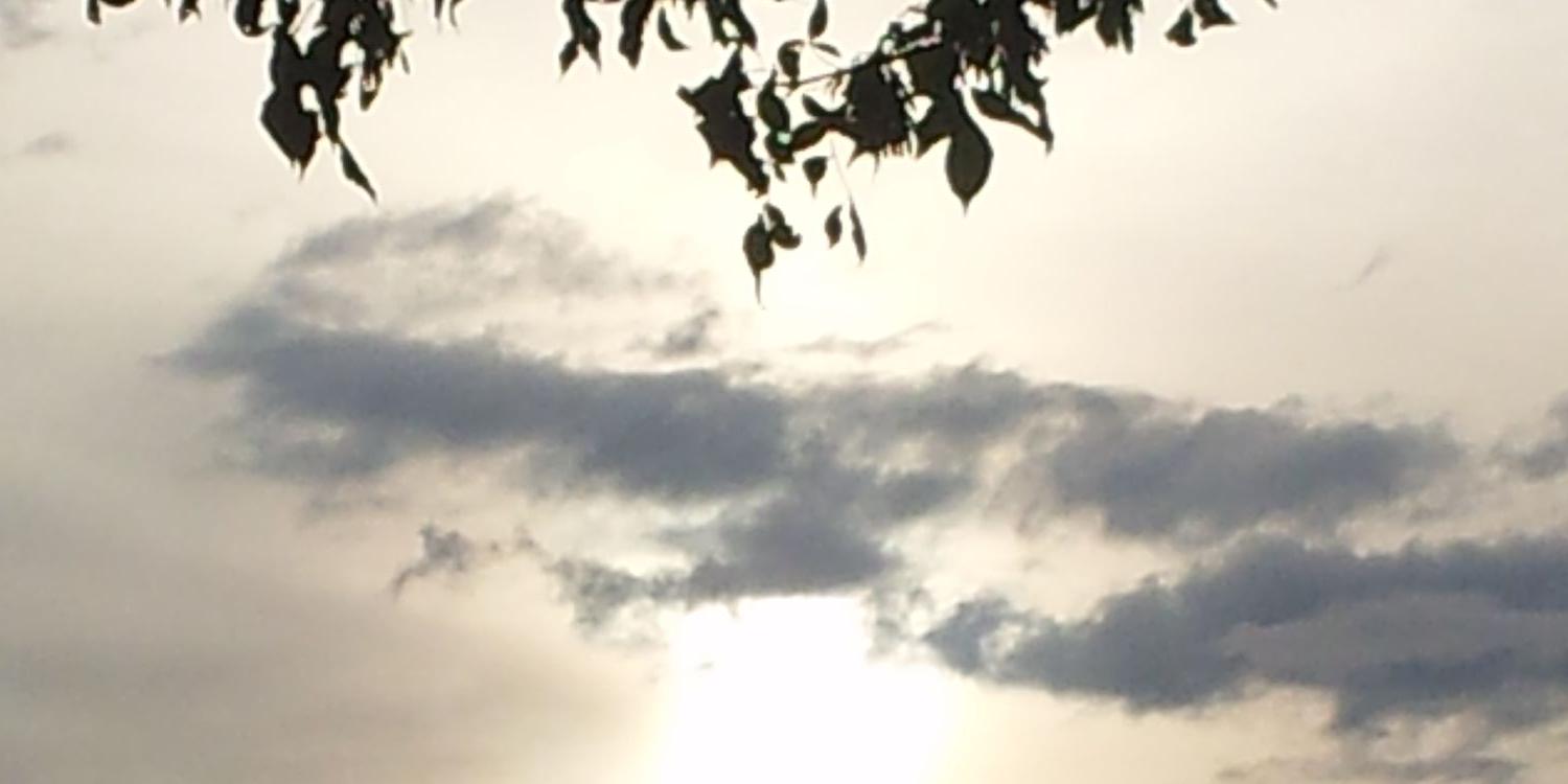 Ashes_Ak's profile banner image