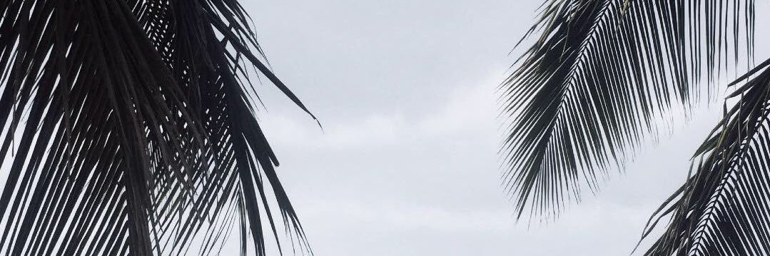 morleyaddict's profile banner image