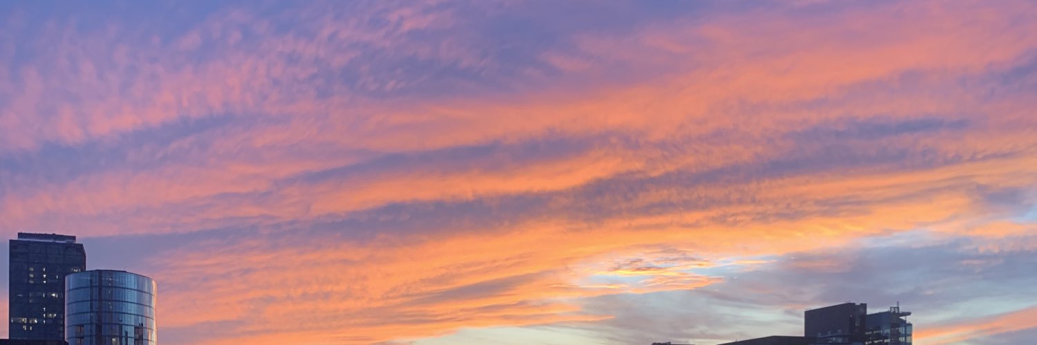 violettekolach's profile banner image