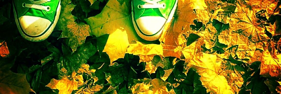 berrz's profile banner image