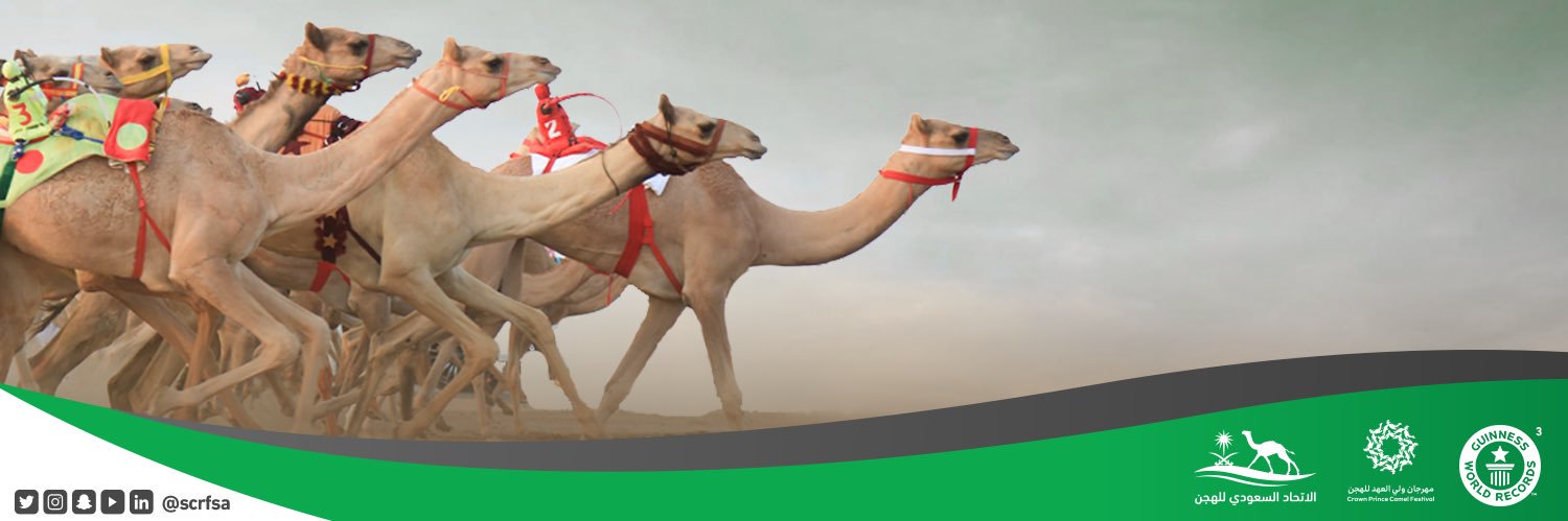 taifscrf's profile banner image