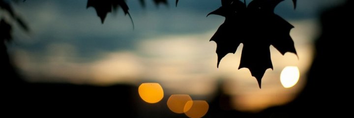 mimichacabrera's profile banner image