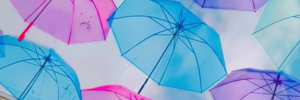 adelie64's profile banner image