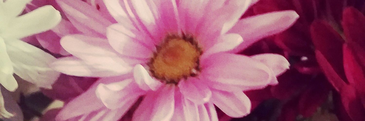 Miss_Melissa5's profile banner image