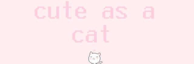 Cakeleesi's profile banner image
