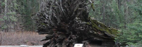 CoverGap Profile Banner