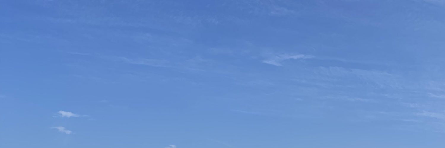 karolswany's profile banner image