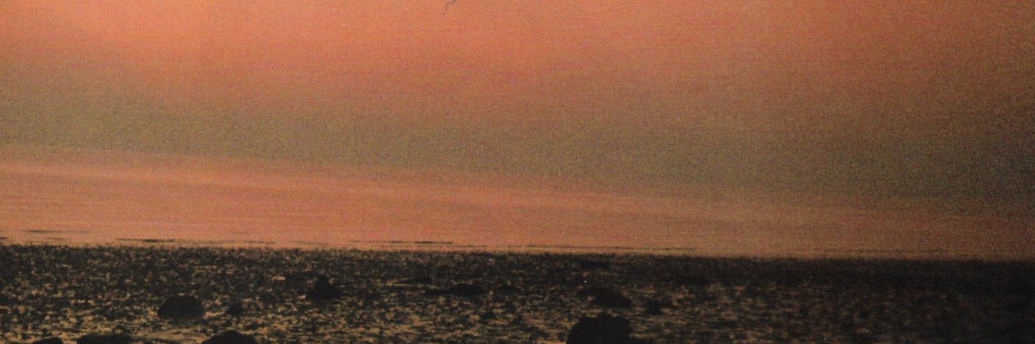 ꒰ 𝗽 ఇ banner
