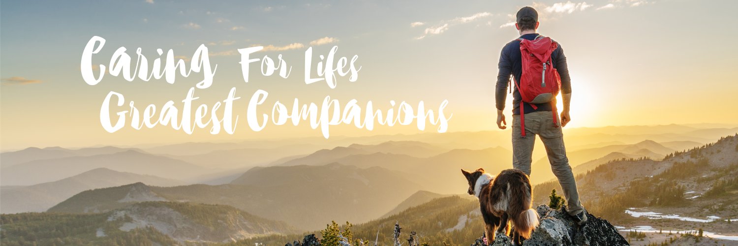 vcacanada's profile banner image