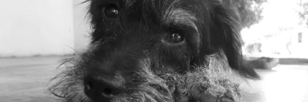 Juul_07's profile banner image