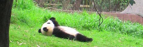 Jason Langley banner