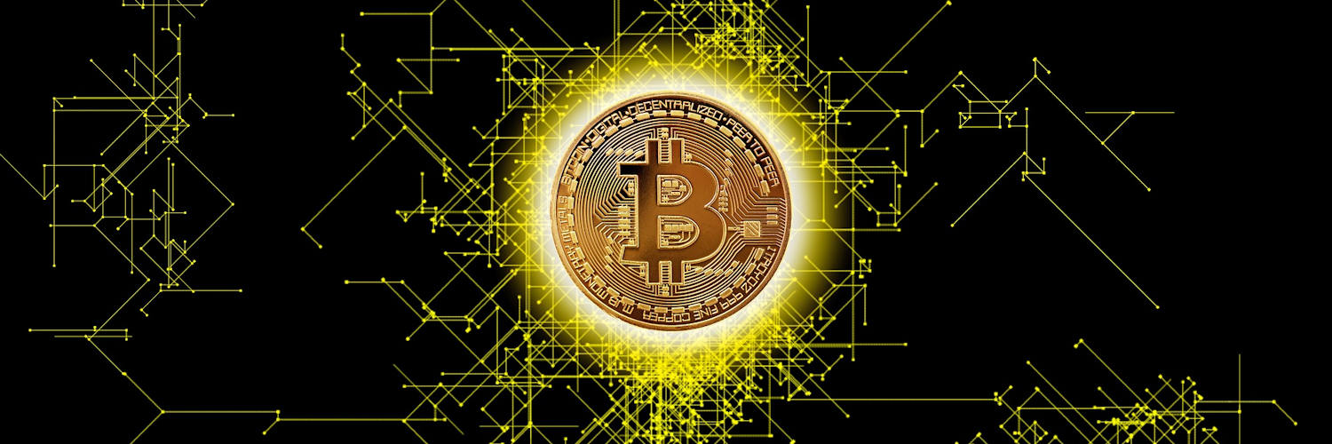 Toxic Bitcoiner banner