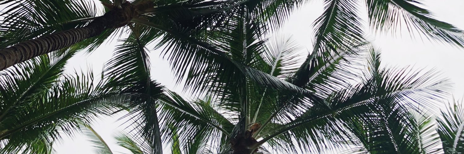 jayzellemata's profile banner image