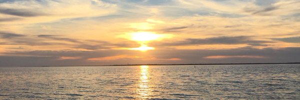 terryquinlan13 Profile Banner