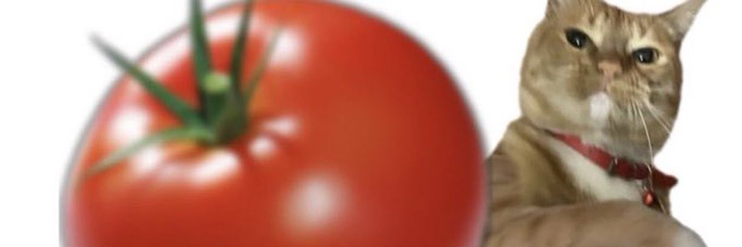 N A T H A N banner
