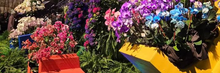 labrown504's profile banner image