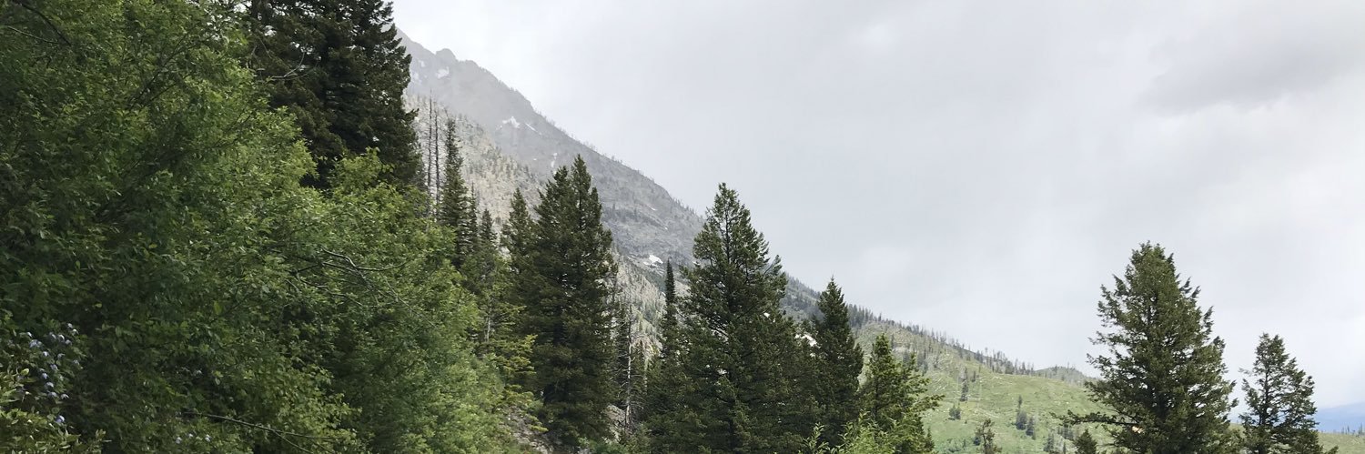 EmmaElizabethM's profile banner image