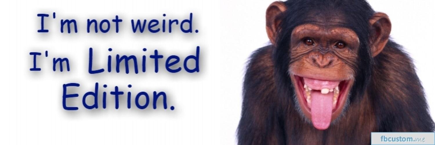 MikiMonkee's profile banner image