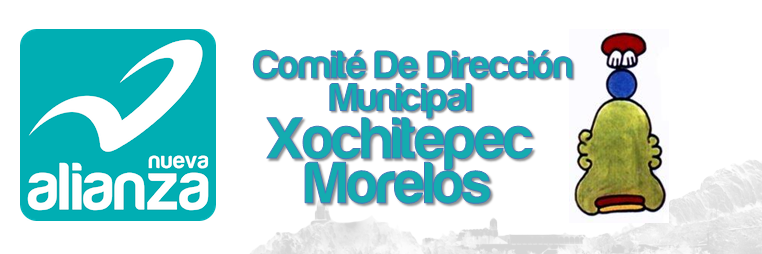PNAXochitepec's profile banner image